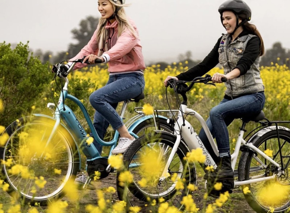 Electra Townie Path Go! 5i Step-Thru – Holographic (07)